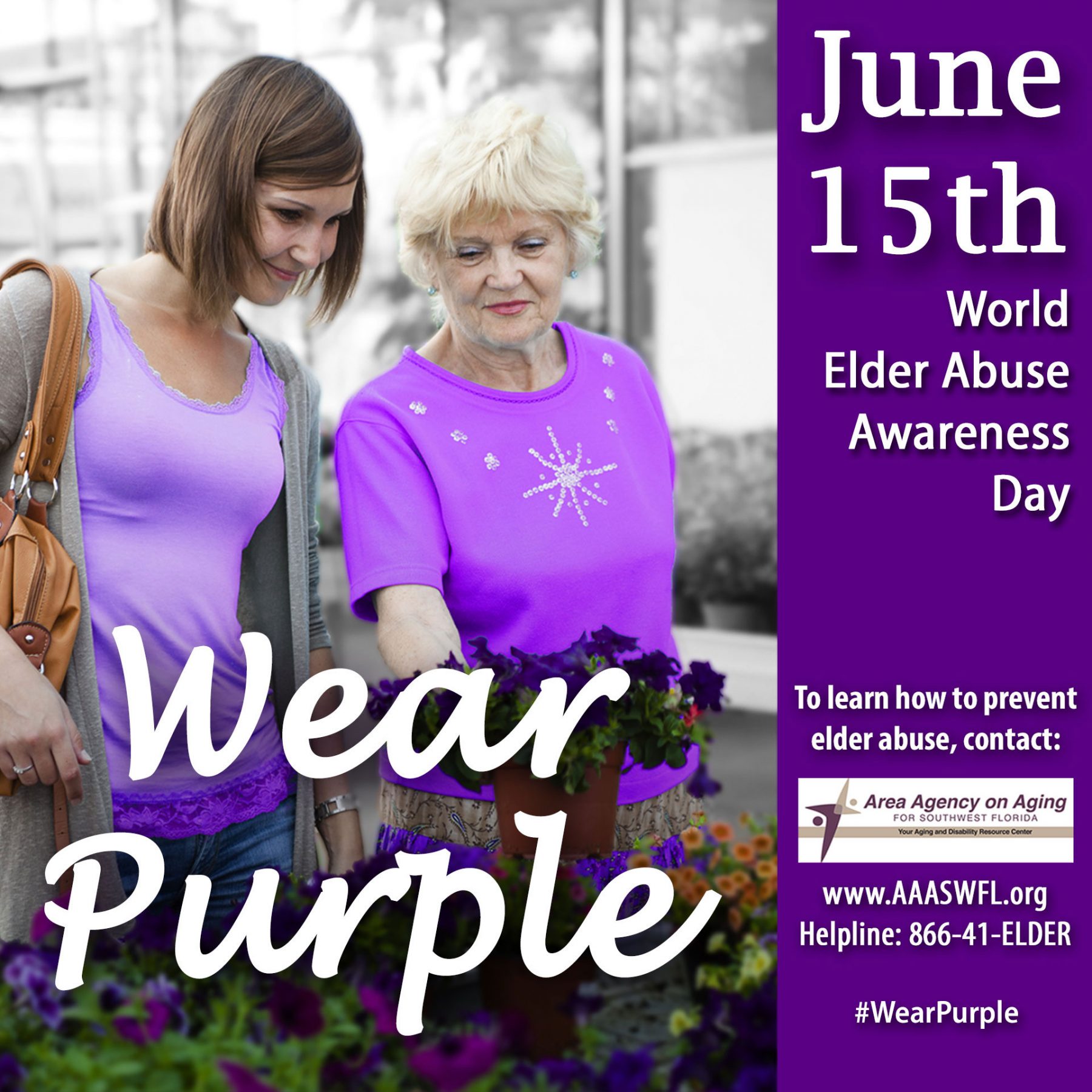 World Elder Abuse Awareness Day WEAR PURPLE Area Agency on Aging